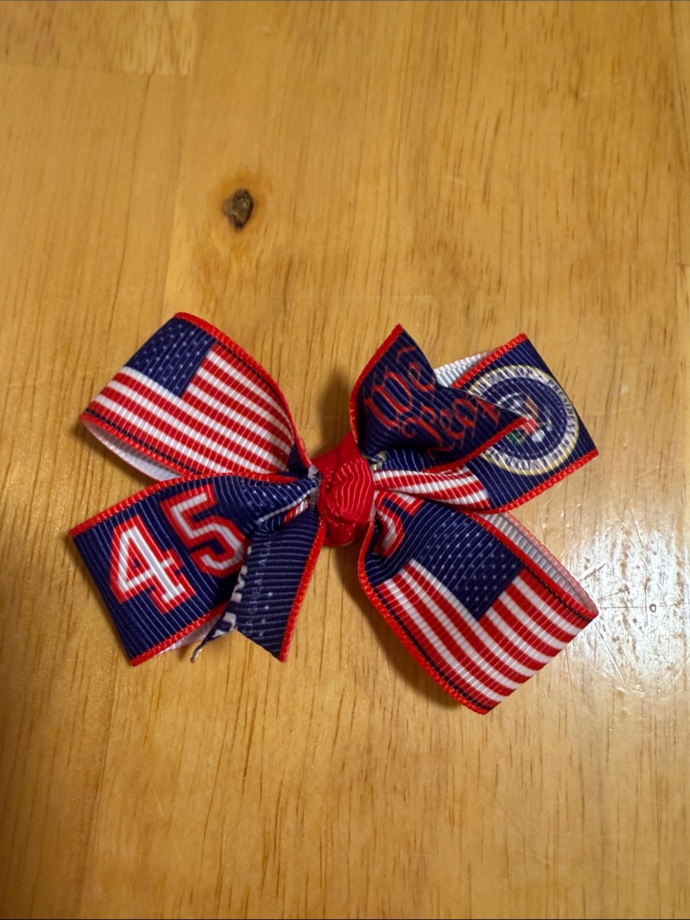 Trump Kids Ribbon Hair Bow and Headband Set